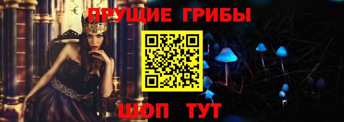 Псилоцибиновые грибы Cubensis  Вход с VPN  Стрежевой 